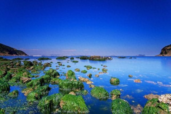 3-0！梅西主场作战  2球独舞：世预赛36球追平C罗 8万人致敬球王