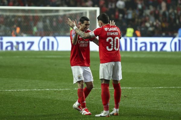 世俱杯C组巡礼-本菲卡：葡超劲旅力求突围