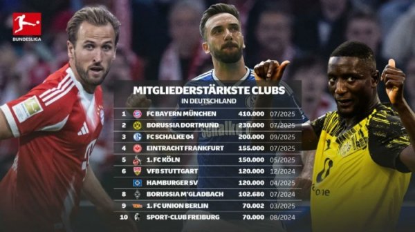 德国俱乐部注册会员数量榜：拜仁41万居首，多特、沙尔克二三位